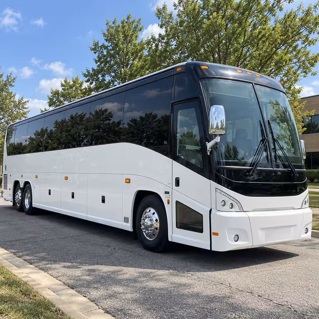 charter bus rentals for san antonio zoo and nature field trips